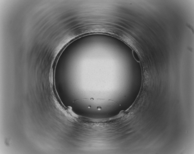 X0000102831084200808251128