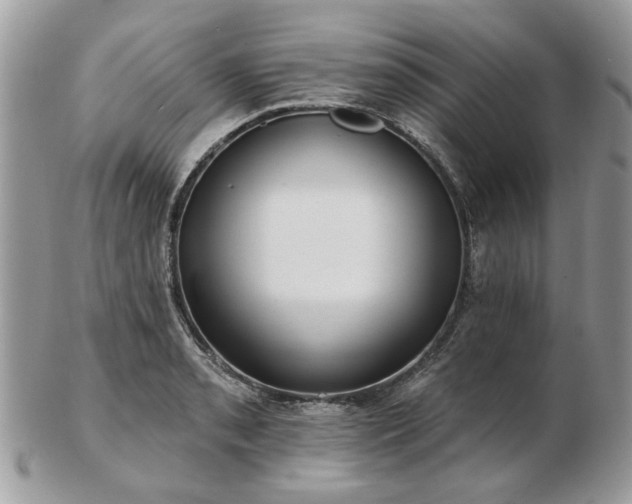 X0000102831085200808251128