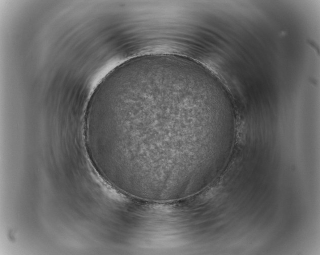 X0000102831086200808251128