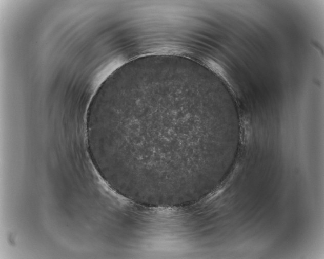 X0000102831087200808251128