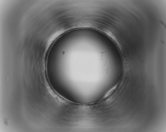 X0000102831088200808251128