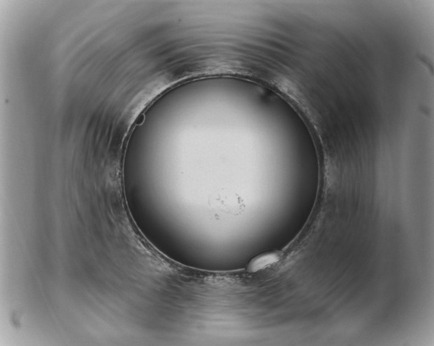 X0000102831089200808251128