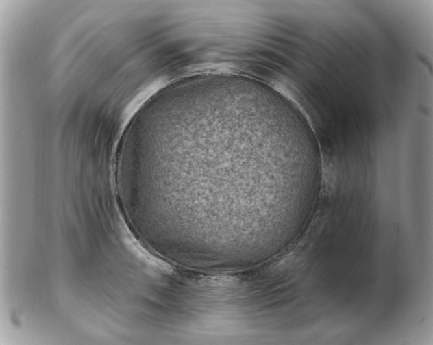 X0000102831090200808251128