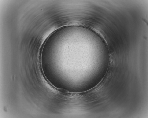 X0000102831091200808251128