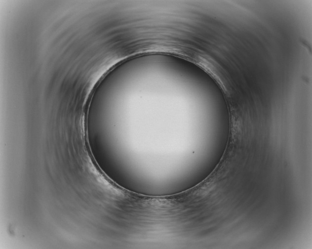 X0000102831092200808251128