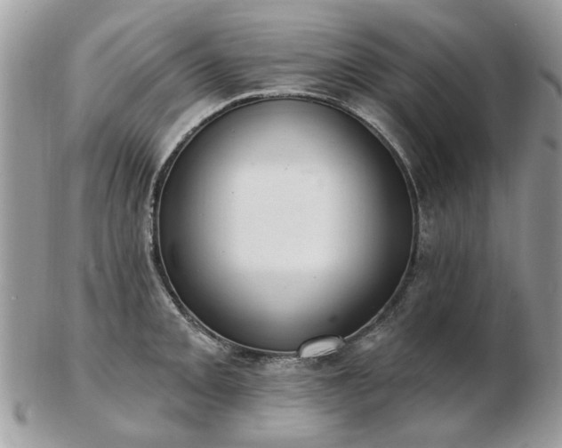 X0000102831093200808251128