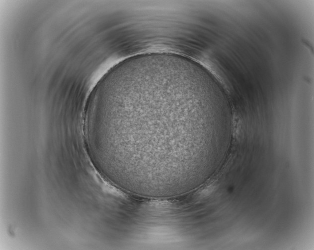 X0000102831094200808251128