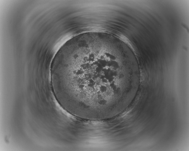 X0000102831095200808251128