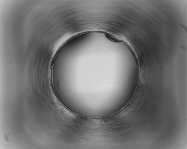 X0000102831096200808251128