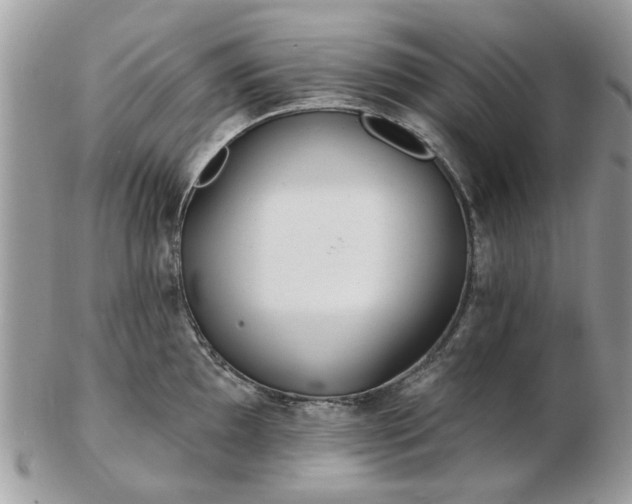 X0000102831097200808251128