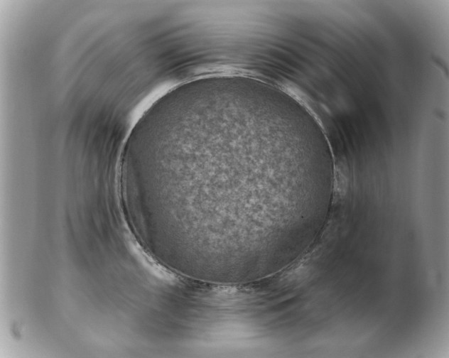 X0000102831098200808251128