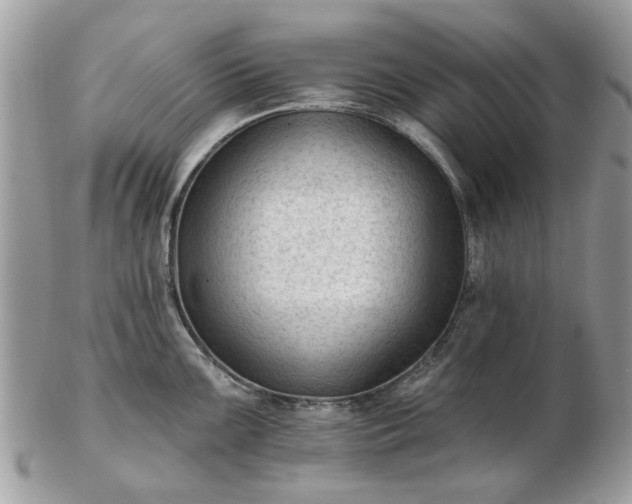 X0000102831099200808251128