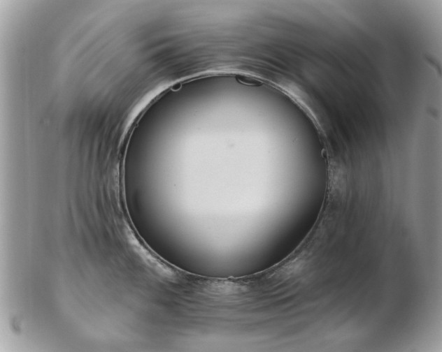 X0000102831100200808251128