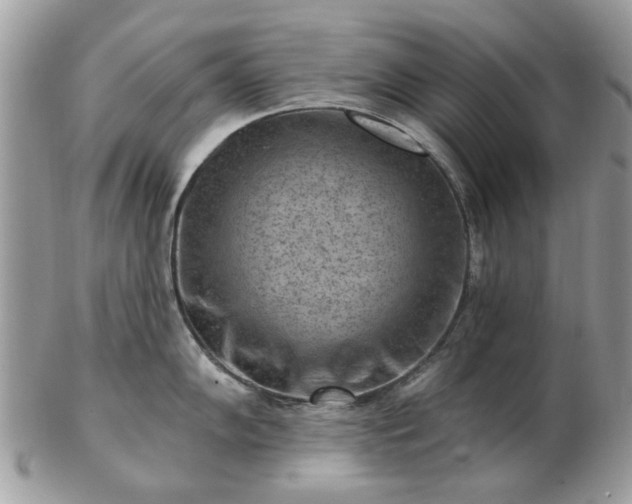 X0000102831102200808251128