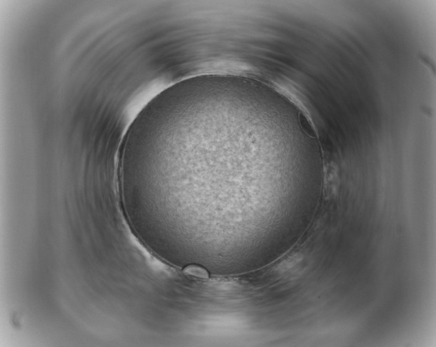 X0000102831103200808251128