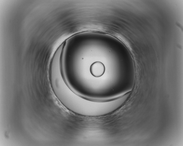 X0000102831104200808251128