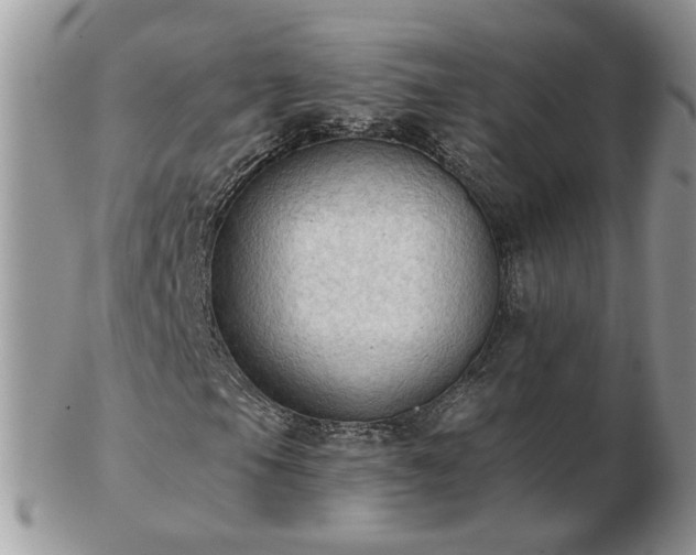 X0000102831105200808251127