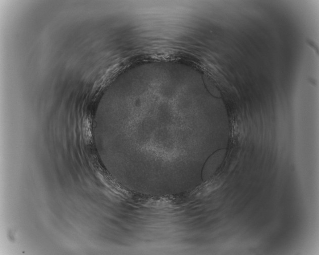 X0000102831106200808251127