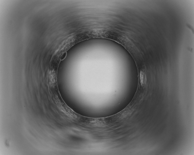 X0000102831107200808251127