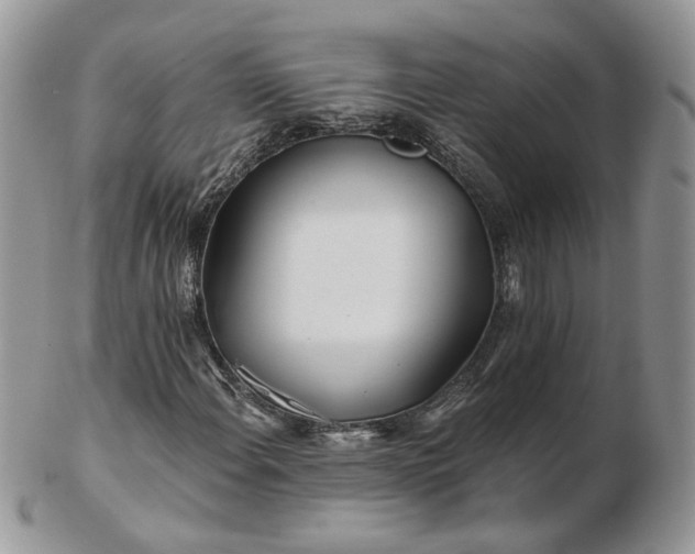 X0000102831108200808251127