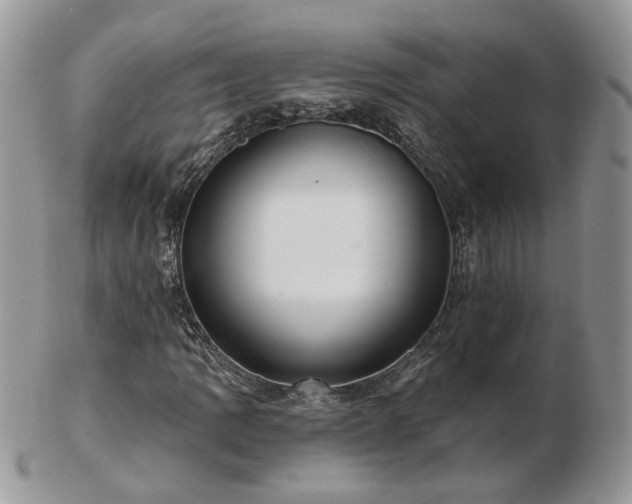 X0000102831109200808251127