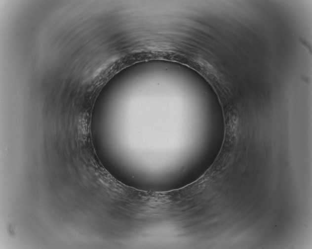 X0000102831110200808251127