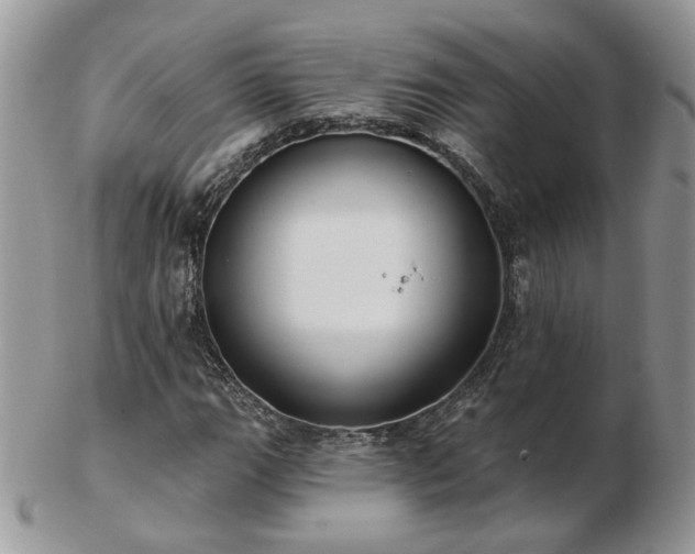 X0000102831111200808251127