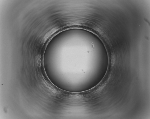 X0000102831113200808251127