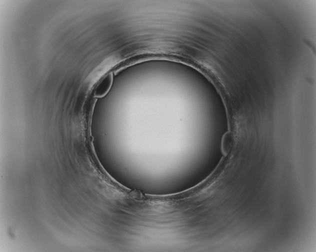 X0000102831114200808251127