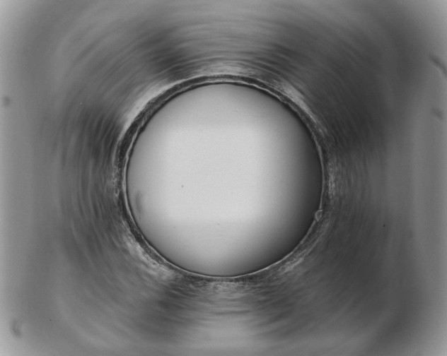 X0000102831116200808251127