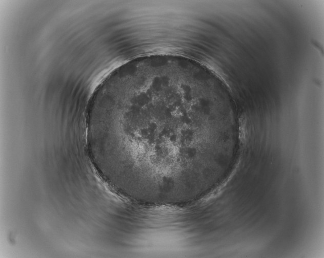 X0000102831117200808251127