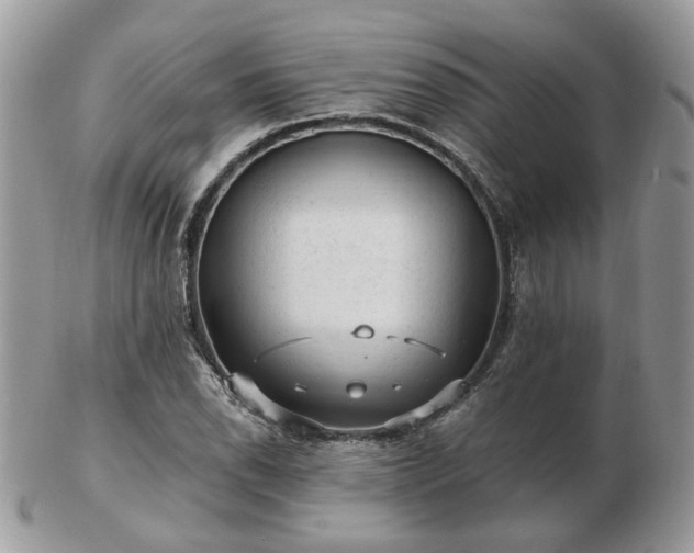 X0000102831118200808251127