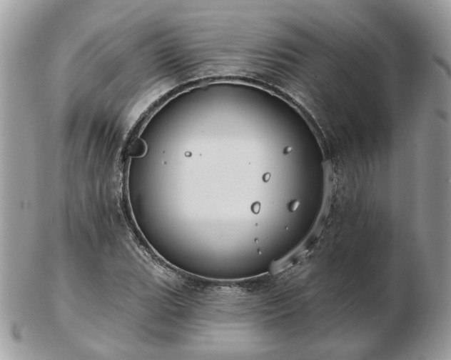 X0000102831119200808251127