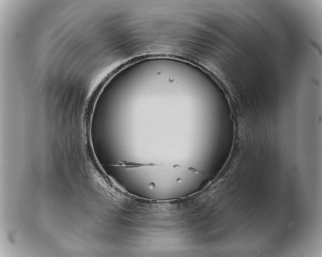 X0000102831120200808251127