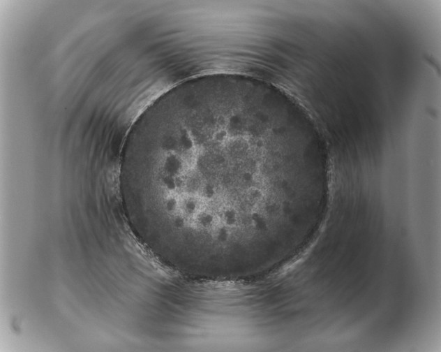 X0000102831121200808251127