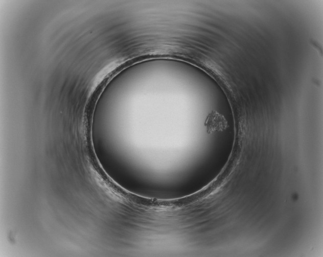 X0000102831122200808251127