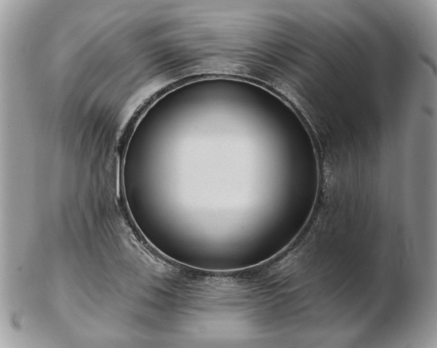 X0000102831123200808251127