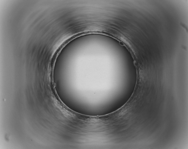 X0000102831124200808251127