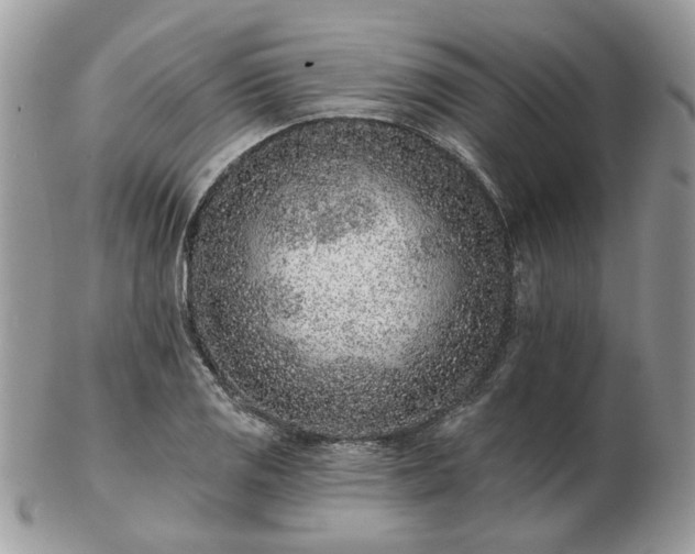 X0000102831125200808251127