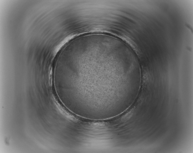 X0000102831126200808251127