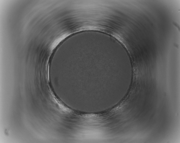 X0000102831127200808251128