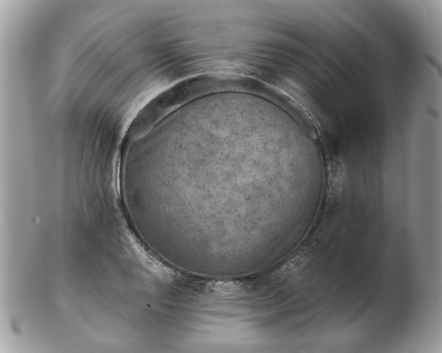 X0000102831128200808251128