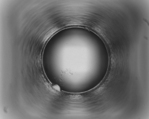 X0000102831129200808251128