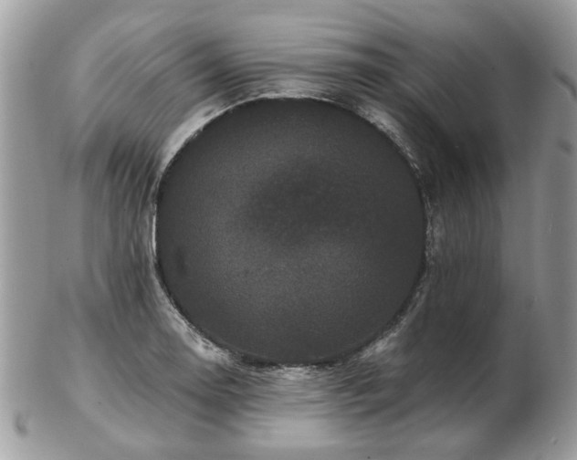 X0000102831130200808251128