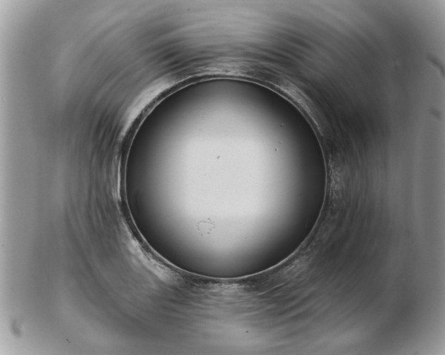 X0000102831131200808251128