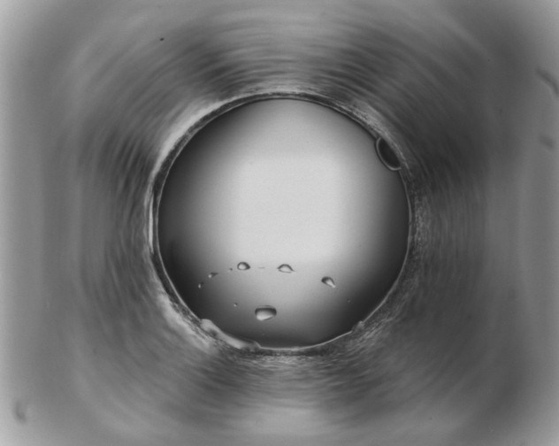 X0000102831132200808251128