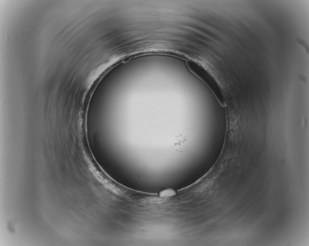 X0000102831134200808251128