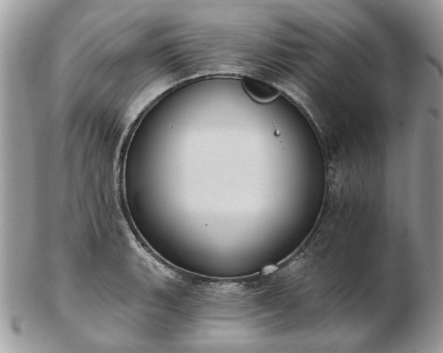 X0000102831135200808251128