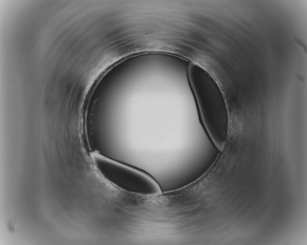 X0000102831136200808251128