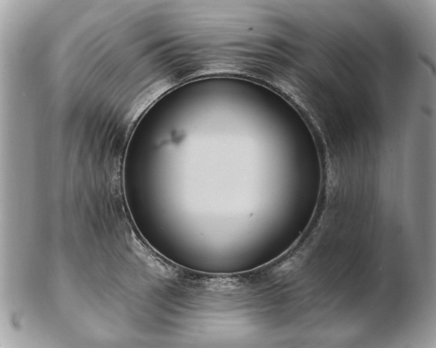 X0000102831137200808251128